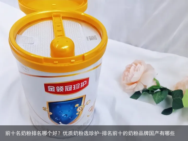 前十名奶粉排名哪个好？优质奶粉选珍护-排名前十的奶粉品牌国产有哪些