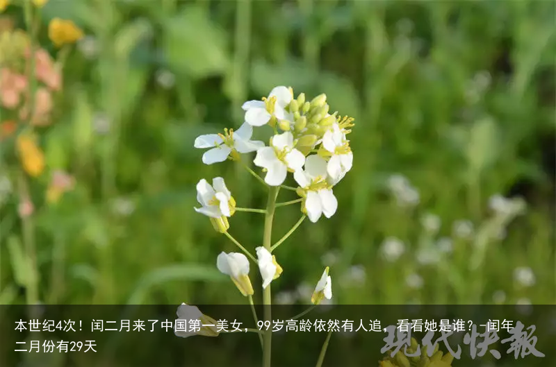 本世纪4次！闰二月来了中国第一美女，99岁高龄依然有人追，看看她是谁？-闰年二月份有29天