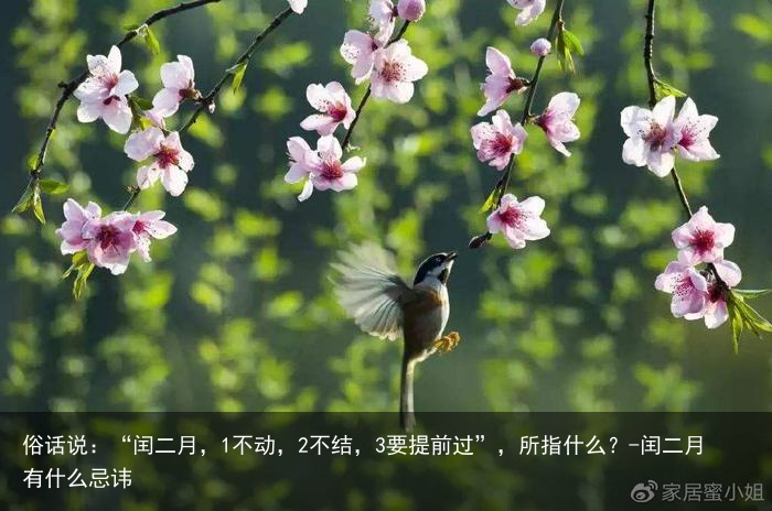 俗话说：“闰二月，1不动，2不结，3要提前过”，所指什么？-闰二月有什么忌讳