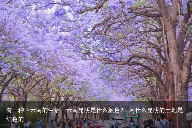 有一种叫云南的生活｜云南昆明是什么颜色？-为什么昆明的土地是红色的