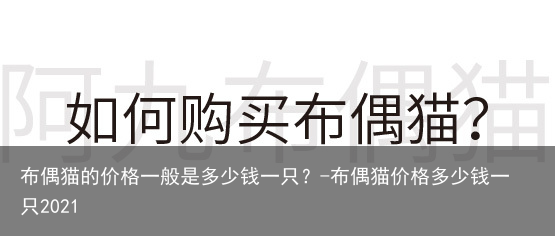 布偶猫的价格一般是多少钱一只？-布偶猫价格多少钱一只2021