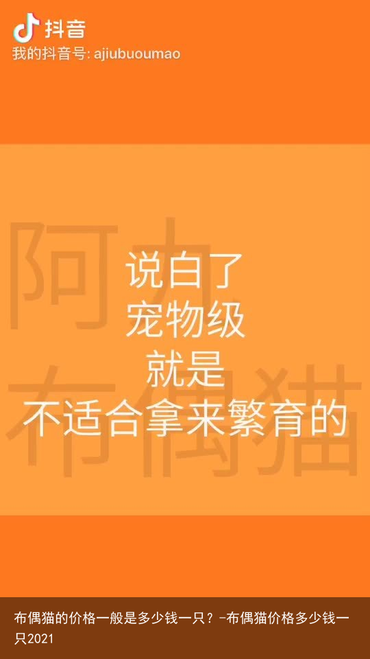 布偶猫的价格一般是多少钱一只？-布偶猫价格多少钱一只2021