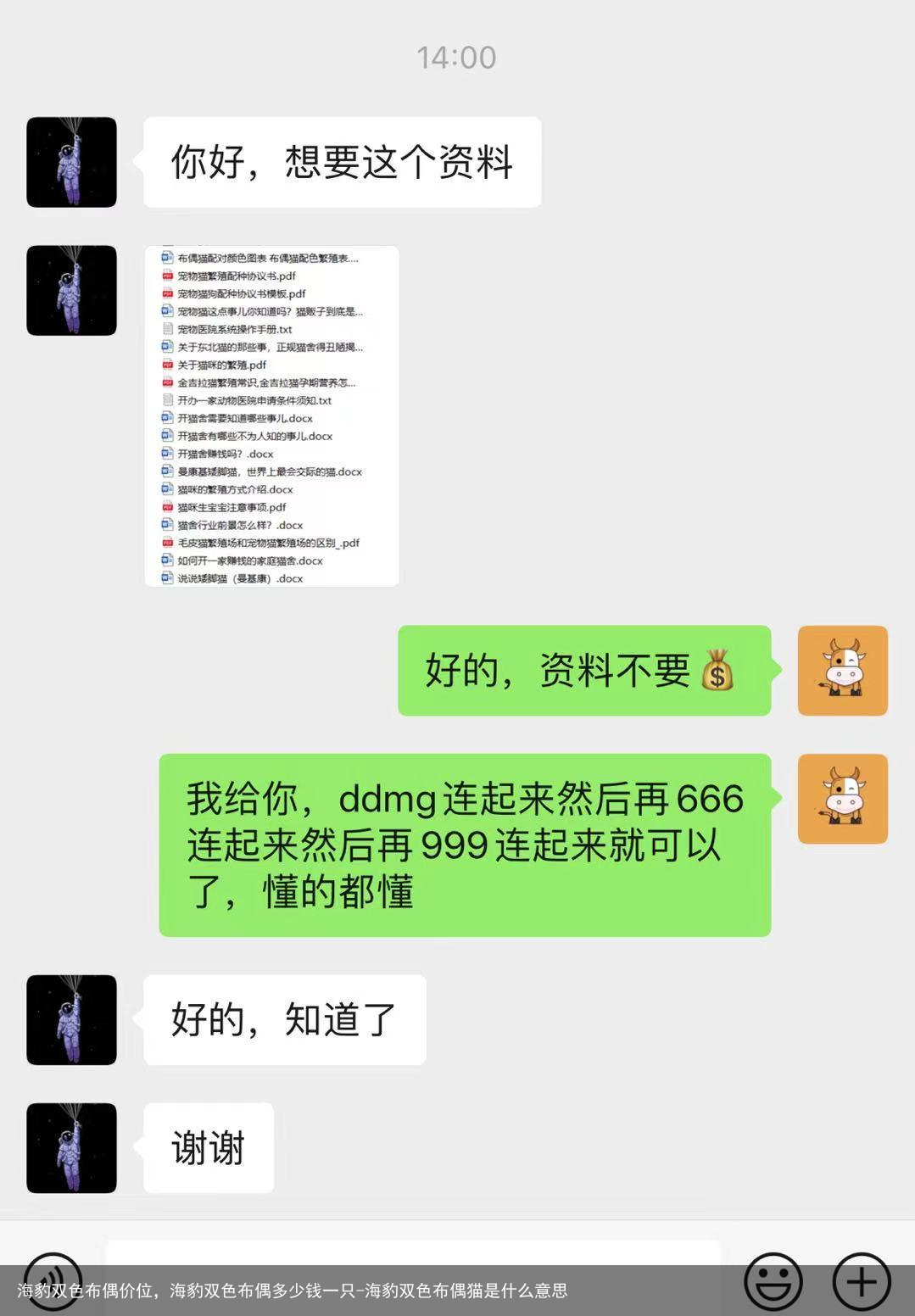 海豹双色布偶价位，海豹双色布偶多少钱一只-海豹双色布偶猫是什么意思