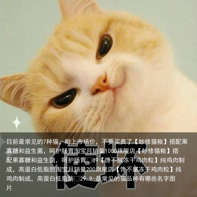 目前最常见的7种猫，附上市场价，不要买贵了