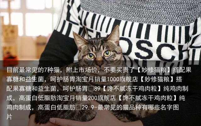 目前最常见的7种猫，附上市场价，不要买贵了