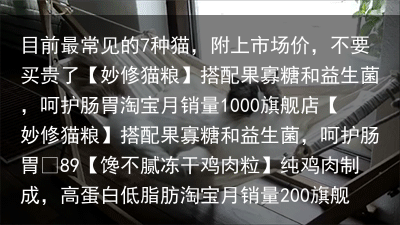 目前最常见的7种猫，附上市场价，不要买贵了