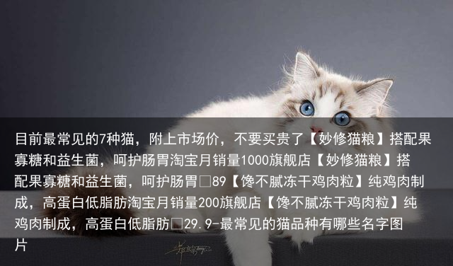 目前最常见的7种猫，附上市场价，不要买贵了