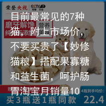 目前最常见的7种猫，附上市场价，不要买贵了