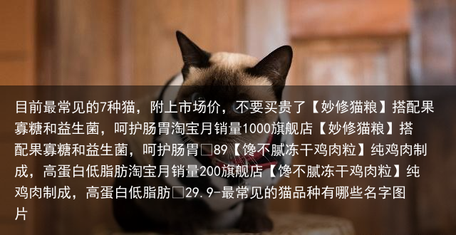 目前最常见的7种猫，附上市场价，不要买贵了