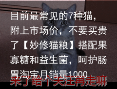 目前最常见的7种猫，附上市场价，不要买贵了