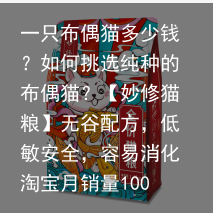 一只布偶猫多少钱？如何挑选纯种的布偶猫？