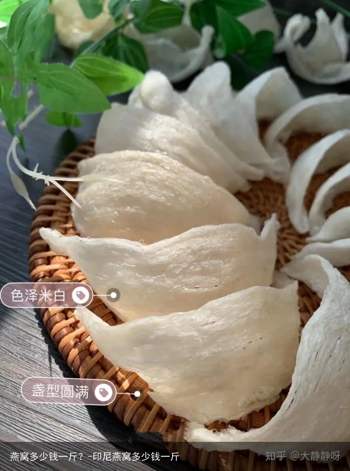 燕窝多少钱一斤？-印尼燕窝多少钱一斤