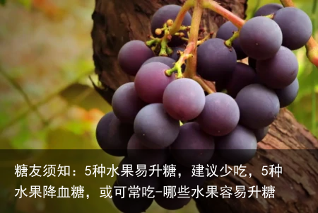 糖友须知：5种水果易升糖，建议少吃，5种水果降血糖，或可常吃-哪些水果容易升糖