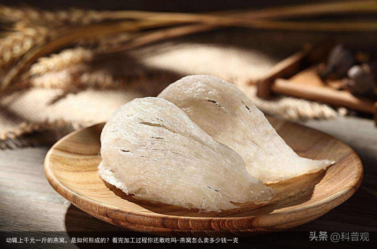 动辄上千元一斤的燕窝，是如何形成的？看完加工过程你还敢吃吗-燕窝怎么卖多少钱一克