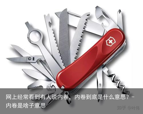 网上经常看到有人说内卷，内卷到底是什么意思？-内卷是啥子意思