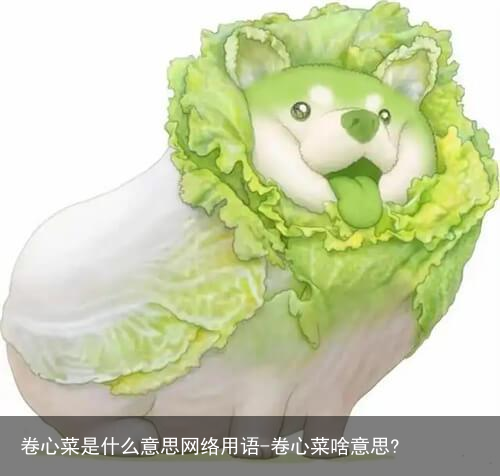 卷心菜是什么意思网络用语-卷心菜啥意思?