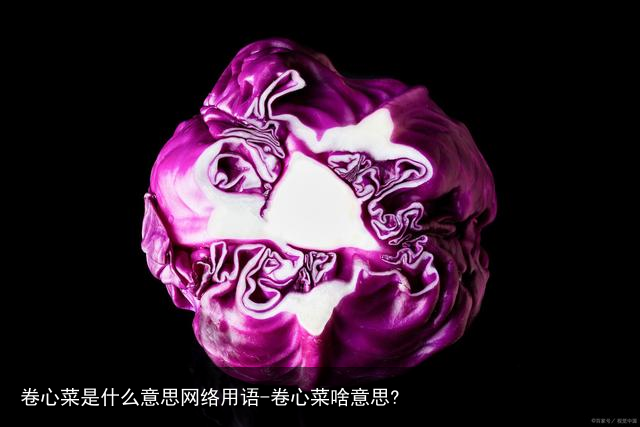 卷心菜是什么意思网络用语-卷心菜啥意思?