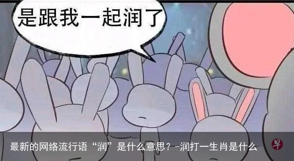 最新的网络流行语“润”是什么意思？-润打一生肖是什么