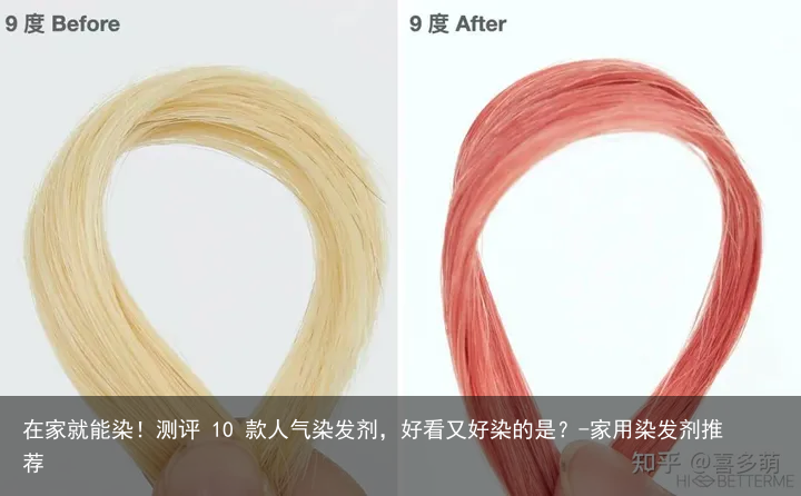 在家就能染！测评 10 款人气染发剂，好看又好染的是？-家用染发剂推荐