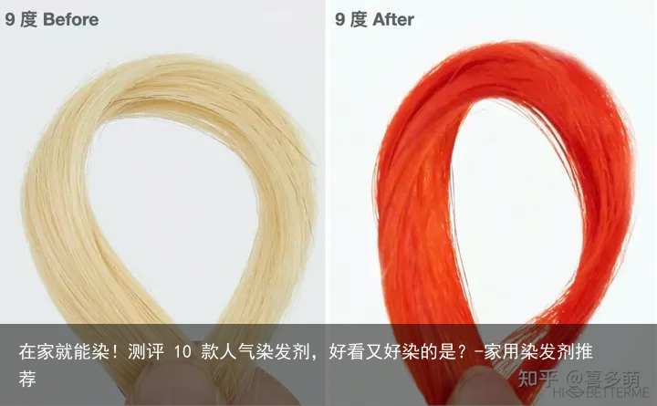 在家就能染！测评 10 款人气染发剂，好看又好染的是？-家用染发剂推荐