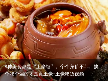 8种美食都是“土豪级”，个个身价不菲，挨个吃个遍的才是真土豪-土豪吃货视频