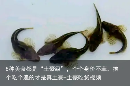 8种美食都是“土豪级”，个个身价不菲，挨个吃个遍的才是真土豪-土豪吃货视频