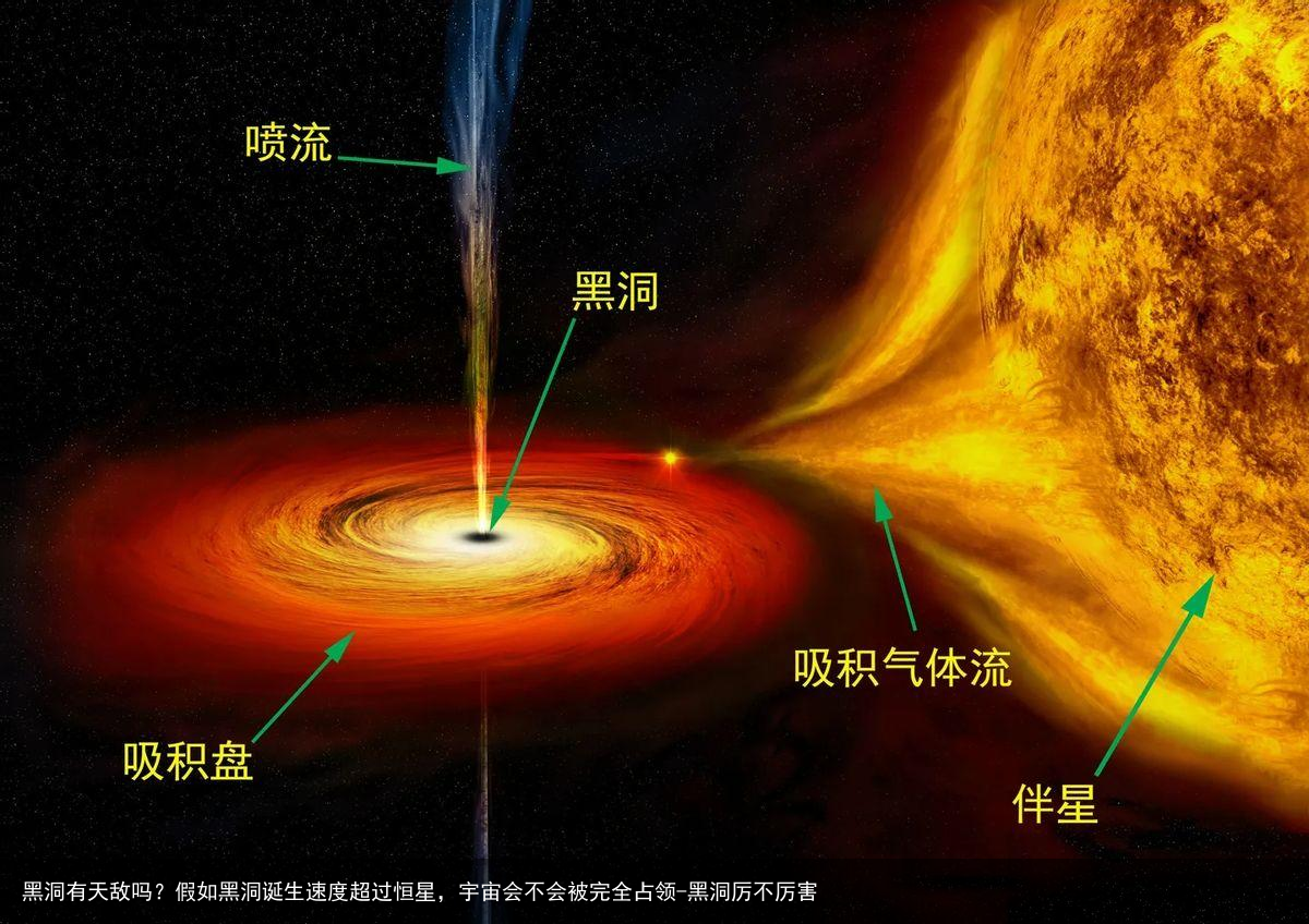 黑洞有天敌吗？假如黑洞诞生速度超过恒星，宇宙会不会被完全占领-黑洞厉不厉害