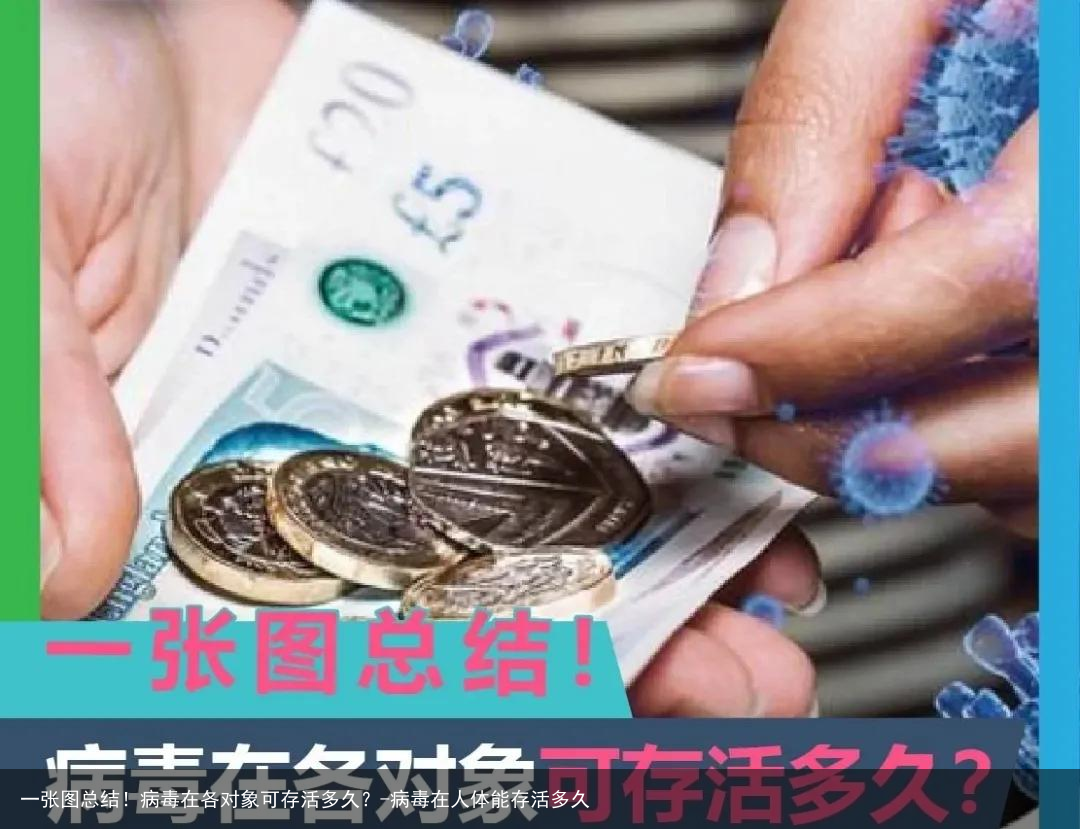 一张图总结！病毒在各对象可存活多久？-病毒在人体能存活多久
