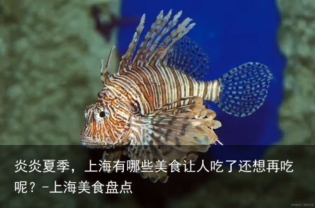 炎炎夏季，上海有哪些美食让人吃了还想再吃呢？-上海美食盘点