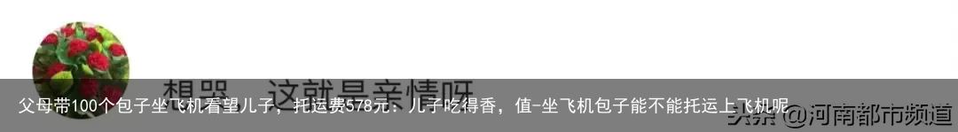 父母带100个包子坐飞机看望儿子，托运费578元：儿子吃得香，值-坐飞机包子能不能托运上飞机呢