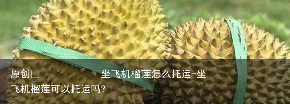 坐飞机榴莲怎么托运-坐飞机榴莲可以托运吗?