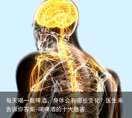 每天喝一瓶啤酒，身体会有哪些变化？医生来告诉你答案-喝啤酒的十大危害