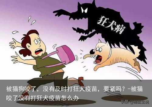 被猫狗咬了，没有及时打狂犬疫苗，要紧吗？-被猫咬了没有打狂犬疫苗怎么办