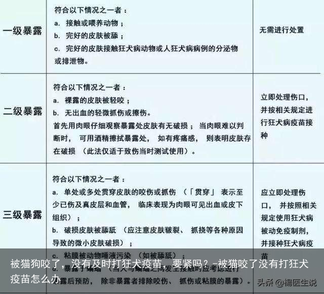 被猫狗咬了，没有及时打狂犬疫苗，要紧吗？-被猫咬了没有打狂犬疫苗怎么办