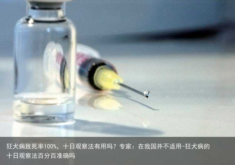 狂犬病致死率100%，十日观察法有用吗？专家：在我国并不适用-狂犬病的十日观察法百分百准确吗