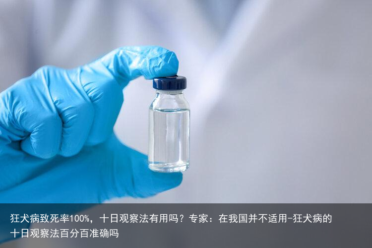 狂犬病致死率100%，十日观察法有用吗？专家：在我国并不适用-狂犬病的十日观察法百分百准确吗