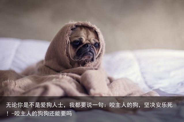 无论你是不是爱狗人士，我都要说一句：咬主人的狗，坚决安乐死！-咬主人的狗狗还能要吗