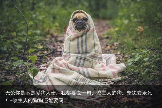 无论你是不是爱狗人士，我都要说一句：咬主人的狗，坚决安乐死！-咬主人的狗狗还能要吗