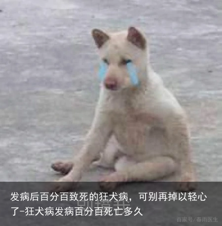 发病后百分百致死的狂犬病，可别再掉以轻心了-狂犬病发病百分百死亡多久
