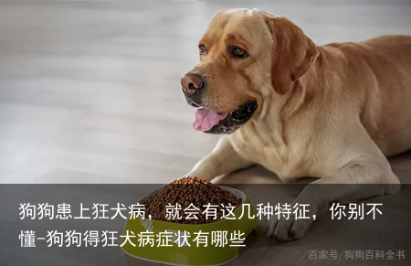 狗狗患上狂犬病，就会有这几种特征，你别不懂-狗狗得狂犬病症状有哪些