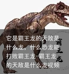 它是霸王龙的天敌是什么龙，什么恐龙能打败霸王龙-霸王龙的天敌是什么龙视频
