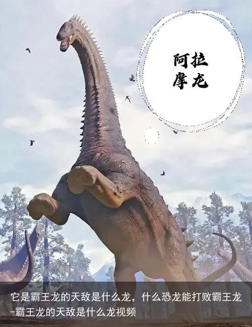 它是霸王龙的天敌是什么龙，什么恐龙能打败霸王龙-霸王龙的天敌是什么龙视频