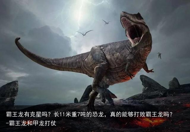 霸王龙有克星吗？长11米重7吨的恐龙，真的能够打败霸王龙吗？-霸王龙和甲龙打仗