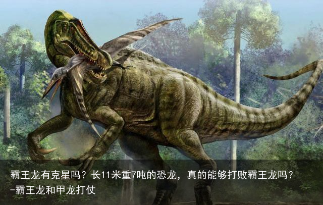 霸王龙有克星吗？长11米重7吨的恐龙，真的能够打败霸王龙吗？-霸王龙和甲龙打仗