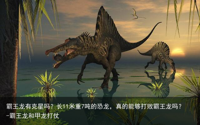 霸王龙有克星吗？长11米重7吨的恐龙，真的能够打败霸王龙吗？-霸王龙和甲龙打仗