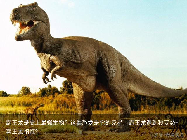 霸王龙是史上最强生物？这类恐龙是它的克星，霸王龙遇到秒变怂-霸王龙怕谁?