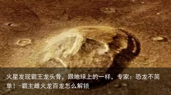 火星发现霸王龙头骨，跟地球上的一样，专家：恐龙不简单！-霸主雌火龙百龙怎么解锁