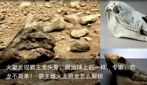 火星发现霸王龙头骨，跟地球上的一样，专家：恐龙不简单！-霸主雌火龙百龙怎么解锁
