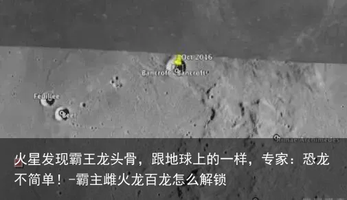 火星发现霸王龙头骨，跟地球上的一样，专家：恐龙不简单！-霸主雌火龙百龙怎么解锁