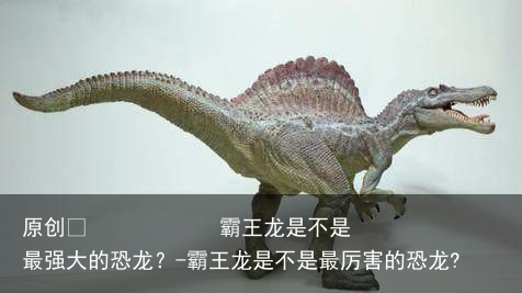 霸王龙是不是最强大的恐龙？-霸王龙是不是最厉害的恐龙?